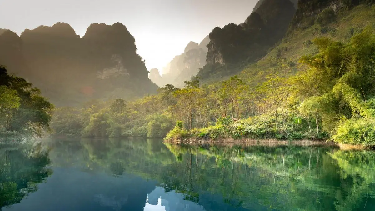智能全自动科技